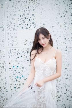 森林里的熊先生无删节完整版